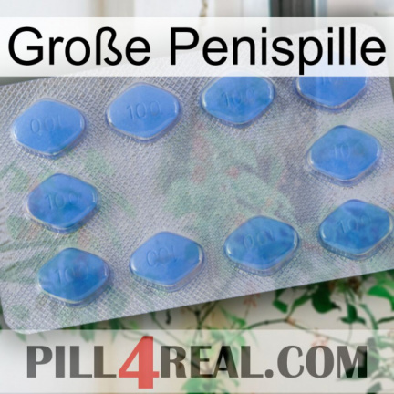 Große Penispille 21